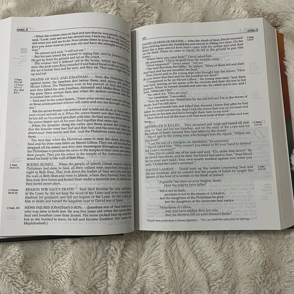 The Daily Bible in Chronological Order - Picture 2 of 3